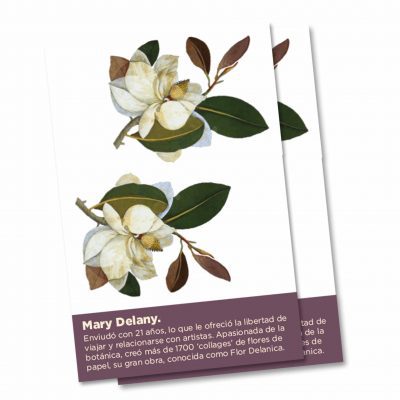 La breve explicación de la autora de este tatuaje temporal de magnolia, Mary Delany.